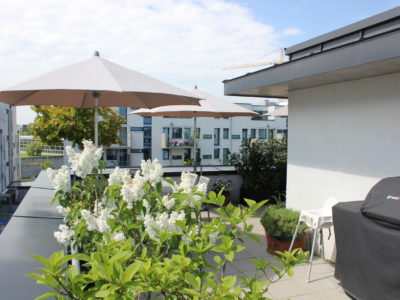 RiedbergImmobilien_Doppelhaus_take5_Dachterrasse_Quartier_Schoene_Aussicht