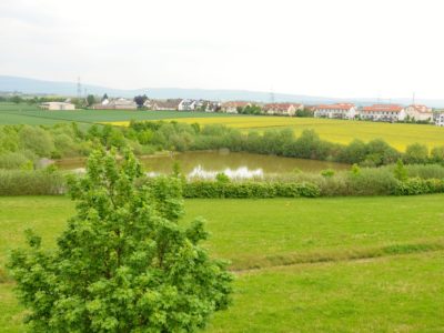 RiedbergImmobilien_Villa_am_Kaetcheslachpark_Ausblick_Kaetcheslachteich