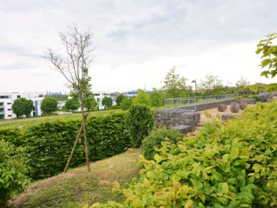 RiedbergImmobilien_Wohnung_Am_Skylineblick_Ausblick